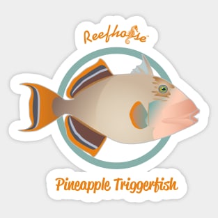 Pineapple Triggerfish Sticker